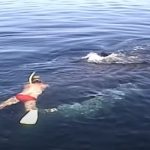 Family Rescues A Nearly-Dead Whale