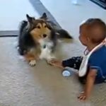 This just may be the cutest Video ever