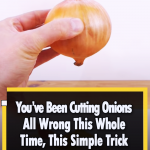 A creative way to cut an Onion