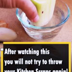 After watching this you will not throw your Kitchen Scraps again