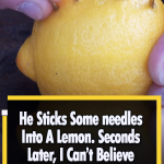 Awesome Survival Tip by using just one Lemon