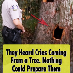 Bear cubs get stuck in a tree trunk