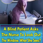 Blind Patient Asks The Nurse To Look Out The Window