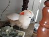white cockatoo with orange head, white talking parrot, parrot with orange tail, bird with strange sound, funniest parrot talking, funniest bird video, funniest talking bird video, animals don't like going to the vet, hilarious animals reaction, funniest video of animals's reaction