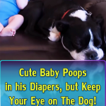 Cute Baby Poops in his Diapers