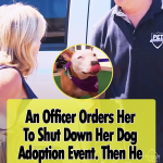 Every Pet Must Be Adopted