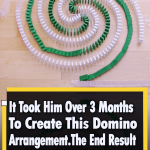 This Domino Trick Will blow your Mind