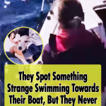 Saving a dog in Naples sea