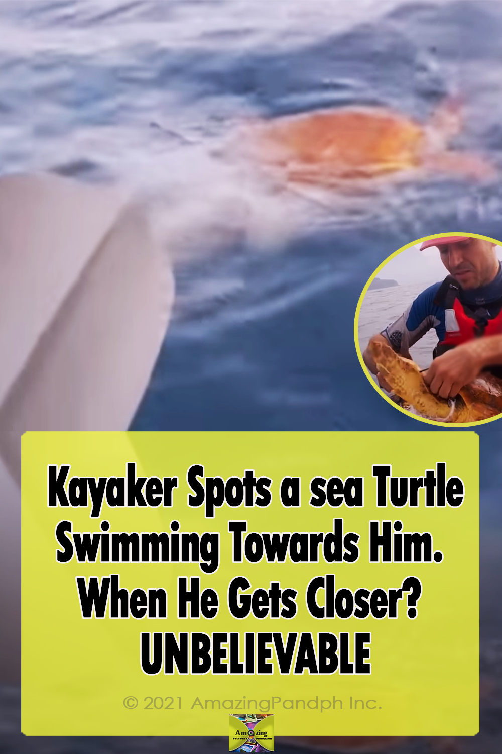 Kayaker, kayak, Sea, turtle, Pollution, plastic, animals, ocean, nature in danger, rescue, heroe,