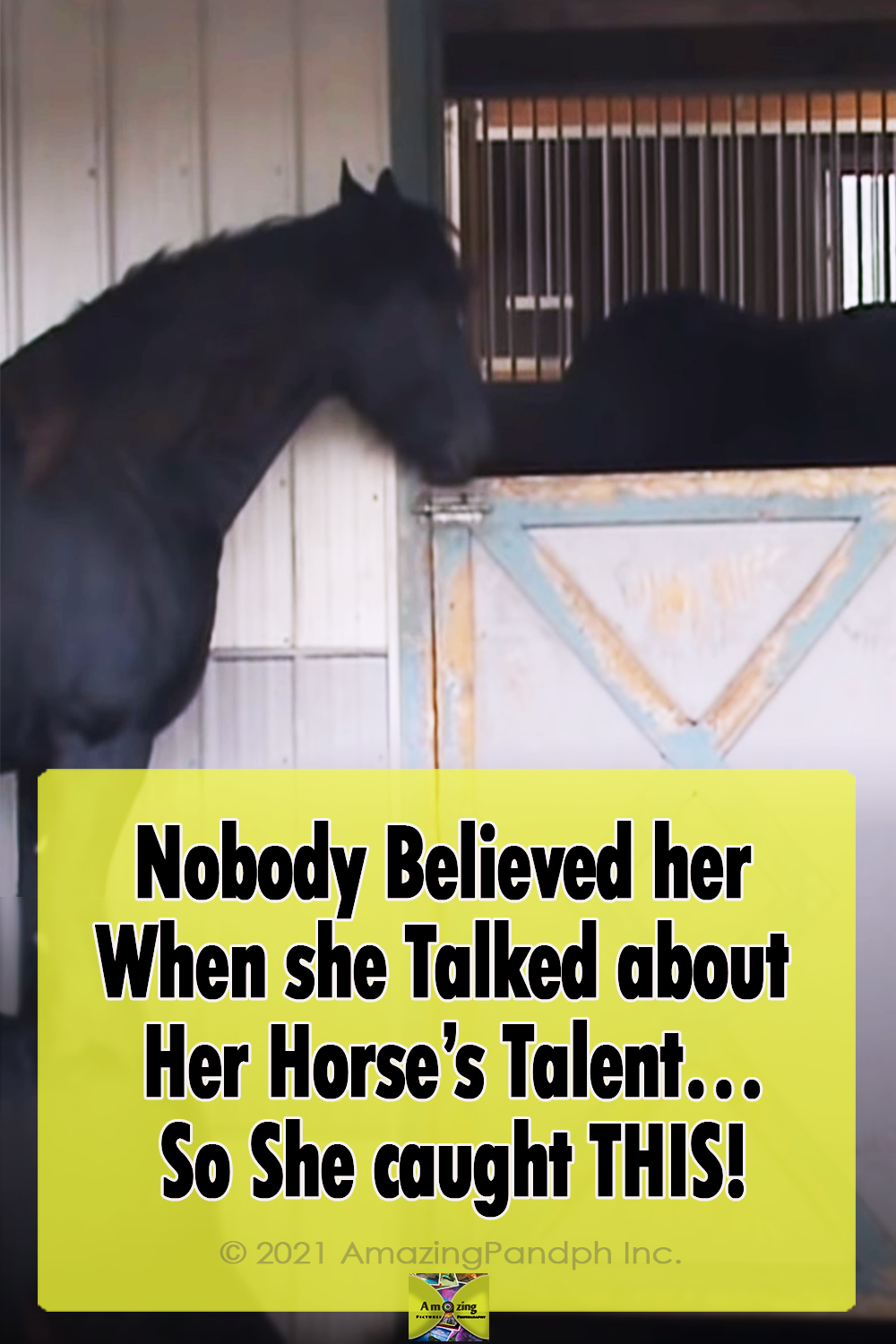 horse, smart, clever, camera, doors, stall, barn, farm,