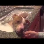 Video thumbnail for youtube video c4nsqewvtzm