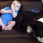 Video thumbnail for youtube video e-oyqxr_d6y