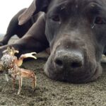 Video thumbnail for youtube video fagrpcnxns0