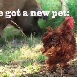 Video thumbnail for youtube video gbcdj74luas