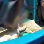 Video thumbnail for youtube video ktosy53jnzc