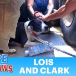 Video thumbnail for youtube video nuqeq9cjhzs