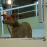 Video thumbnail for youtube video nysuhtaf2qq