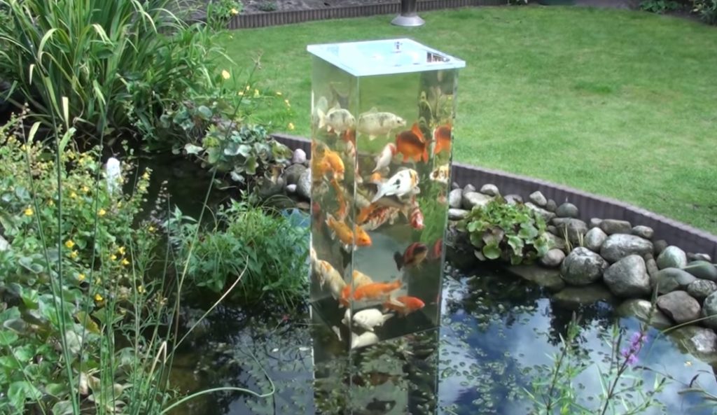 pond, creative, decoration, exterior, tank, fish, garden,