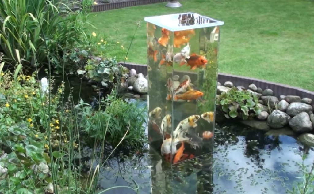 pond, creative, decoration, exterior, tank, fish, garden,