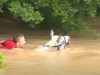 horse, rescue, storie, flood, water, swimming, brave,