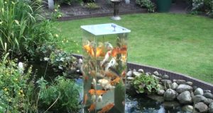 pond, creative, decoration, exterior, tank, fish, garden,