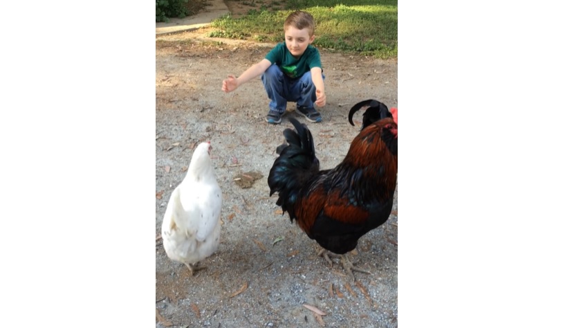 Heartwarming reunion, Mason and Love Bird, Surprising reaction, Unforgettable hug, Genuine connection, Enduring bond, New haircut, Unexpected moments, Love and friendship, Cherishing the unexpected, Kid and a Chicken,