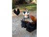 Heartwarming reunion, Mason and Love Bird, Surprising reaction, Unforgettable hug, Genuine connection, Enduring bond, New haircut, Unexpected moments, Love and friendship, Cherishing the unexpected