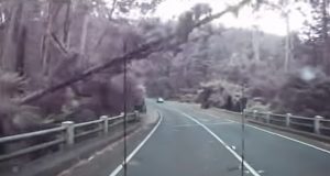 Dash Cam Footage, Strip Wind Storm, High Wind, Nature's Power, Tree Fall, Watt's River Bridge, Victoria Australia, Unexpected Weather, Travel Safety, Bush Adventures