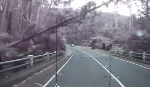 Dash Cam Footage, Strip Wind Storm, High Wind, Nature's Power, Tree Fall, Watt's River Bridge, Victoria Australia, Unexpected Weather, Travel Safety, Bush Adventures