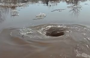 whirlpool, vortex, nature, ocean, river, bathtub, currents, vortex direction, Coriolis effect, force of nature, maelstrom, Charybdis, Moskstraumen, vortex size, water, power, danger.