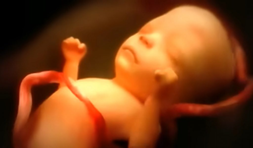 Fetal development video, Nine months in the womb, Prenatal care, Miracle of life, Fetal imaging ethics, Protecting life, Conception, Fetus, Health and well-being, Maternal health, Baby development, Parenting, Obstetrics, Neonatology, Childbirth, Pregnancy