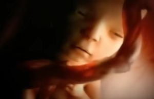 Fetal development video, Nine months in the womb, Prenatal care, Miracle of life, Fetal imaging ethics, Protecting life, Conception, Fetus, Health and well-being, Maternal health, Baby development, Parenting, Obstetrics, Neonatology, Childbirth, Pregnancy