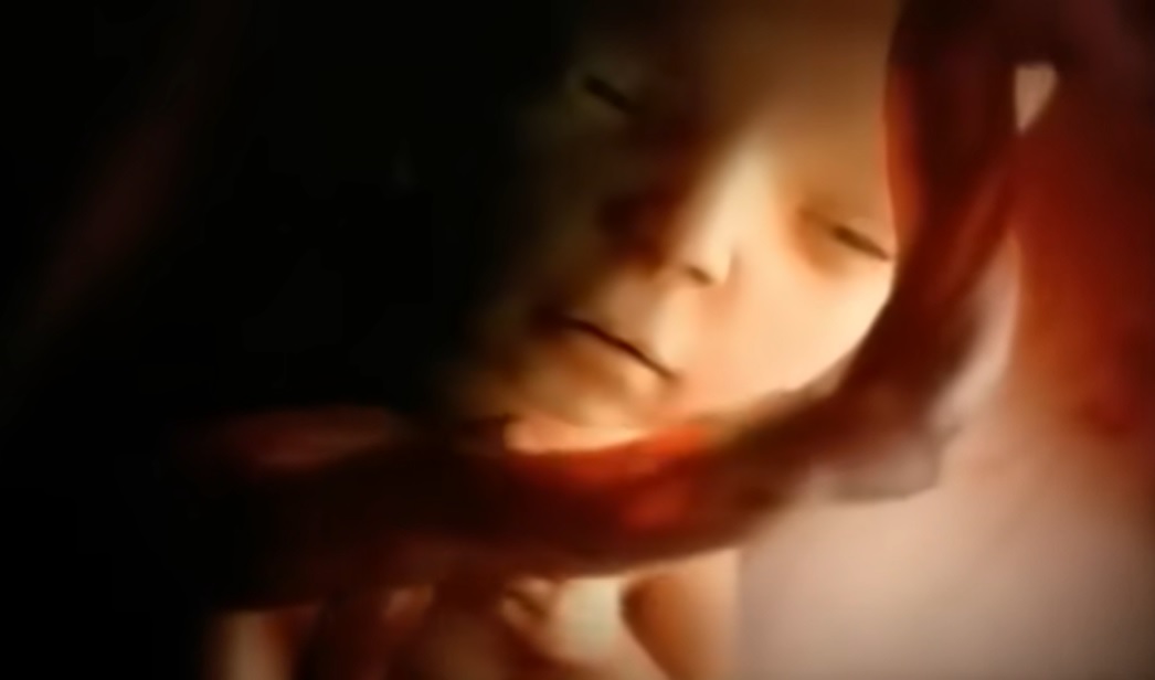 Fetal development video, Nine months in the womb, Prenatal care, Miracle of life, Fetal imaging ethics, Protecting life, Conception, Fetus, Health and well-being, Maternal health, Baby development, Parenting, Obstetrics, Neonatology, Childbirth, Pregnancy