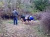 Aggressive Dog Rescue, Alex's Rescue Story, Dog Rehabilitation, Transformation of Aggressive Dogs, Breaking Chains, Animal Abuse, Pet Adoption, Dog Behaviour Change, Rehabilitation Programs for Dogs, Animal Welfare Awareness