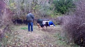 Aggressive Dog Rescue, Alex's Rescue Story, Dog Rehabilitation, Transformation of Aggressive Dogs, Breaking Chains, Animal Abuse, Pet Adoption, Dog Behaviour Change, Rehabilitation Programs for Dogs, Animal Welfare Awareness
