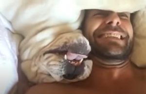 Grumpy Bulldog, wake-up routine, morning person, hilarious sounds, viral sensation, online reactions, relatable, unique personality, source of joy, shared struggle, internet sensation.