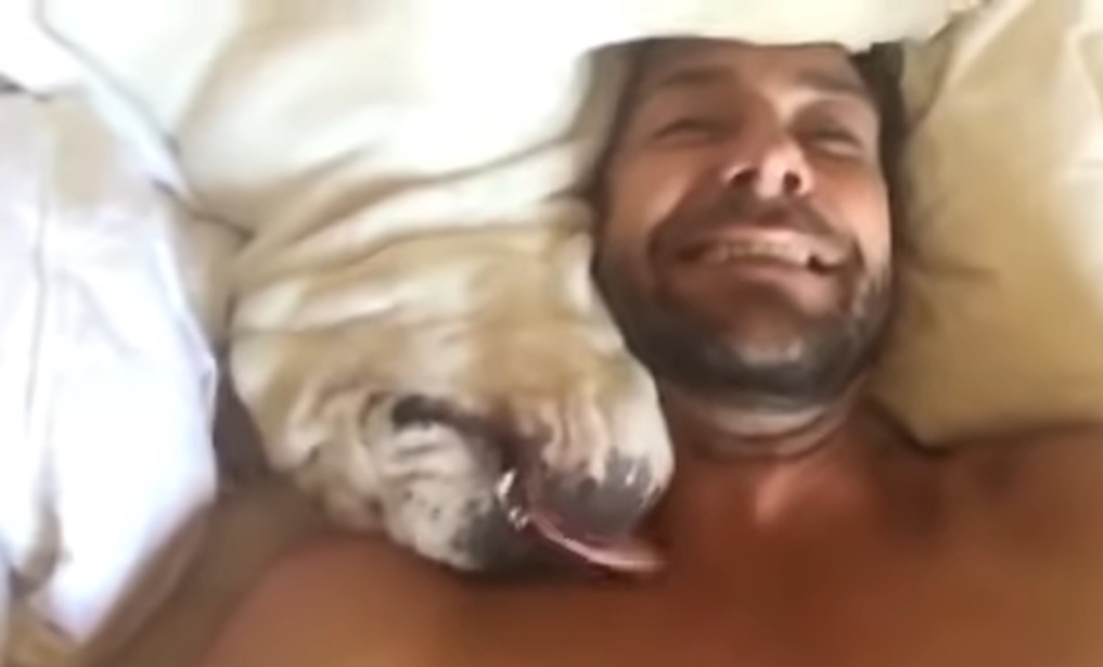Grumpy Bulldog, wake-up routine, morning person, hilarious sounds, viral sensation, online reactions, relatable, unique personality, source of joy, shared struggle, internet sensation.