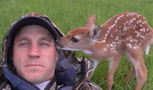Deer, Fawn, Abandonment, Injury, Motherhood, Twin fawns, Wildlife rescue, Rehabilitation, Animal sanctuary, Compassion, Kindness, Nature conservation, Wildlife habitat, Animal welfare, Human-animal interaction