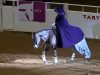 Laura Sumrall, Kentucky Reining Cup, World Title, Freestyle Reining, "Let It Go", Lexington, Equestrian Excellence, Horseback Performance, Spectacular Routine, Equestrian Championship.