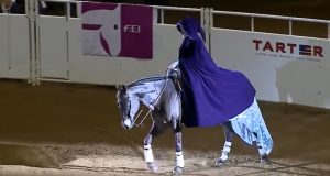 Laura Sumrall, Kentucky Reining Cup, World Title, Freestyle Reining, "Let It Go", Lexington, Equestrian Excellence, Horseback Performance, Spectacular Routine, Equestrian Championship.