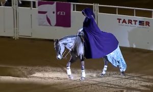 Laura Sumrall, Kentucky Reining Cup, World Title, Freestyle Reining, "Let It Go", Lexington, Equestrian Excellence, Horseback Performance, Spectacular Routine, Equestrian Championship.