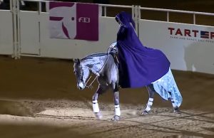 Laura Sumrall, Kentucky Reining Cup, World Title, Freestyle Reining, "Let It Go", Lexington, Equestrian Excellence, Horseback Performance, Spectacular Routine, Equestrian Championship.