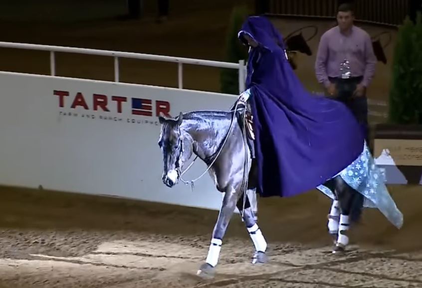 Laura Sumrall, Kentucky Reining Cup, World Title, Freestyle Reining, "Let It Go", Lexington, Equestrian Excellence, Horseback Performance, Spectacular Routine, Equestrian Championship.