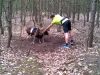 Mouflon Ram, jogger, wild animals get trapped, people saving wild animals, wild sheep get trapped, best forest for jogging, jogging in forest, danger of jogging in forest, danjer of camping in forest, most dangerous animals in forest, stuffs you should take to your camping