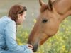 Wild horses, Women photographers, Horse photography, Connection between humans and animals, Conservation efforts, Natural habitat, Emotional connection, Ecosystem, Wildlife, Passion, Adventure, Majestic, Graceful, Transformative, Endurance, Preservation, Essence, Beauty, Power, Bond
