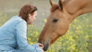 Wild horses, Women photographers, Horse photography, Connection between humans and animals, Conservation efforts, Natural habitat, Emotional connection, Ecosystem, Wildlife, Passion, Adventure, Majestic, Graceful, Transformative, Endurance, Preservation, Essence, Beauty, Power, Bond