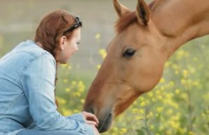 Wild horses, Women photographers, Horse photography, Connection between humans and animals, Conservation efforts, Natural habitat, Emotional connection, Ecosystem, Wildlife, Passion, Adventure, Majestic, Graceful, Transformative, Endurance, Preservation, Essence, Beauty, Power, Bond