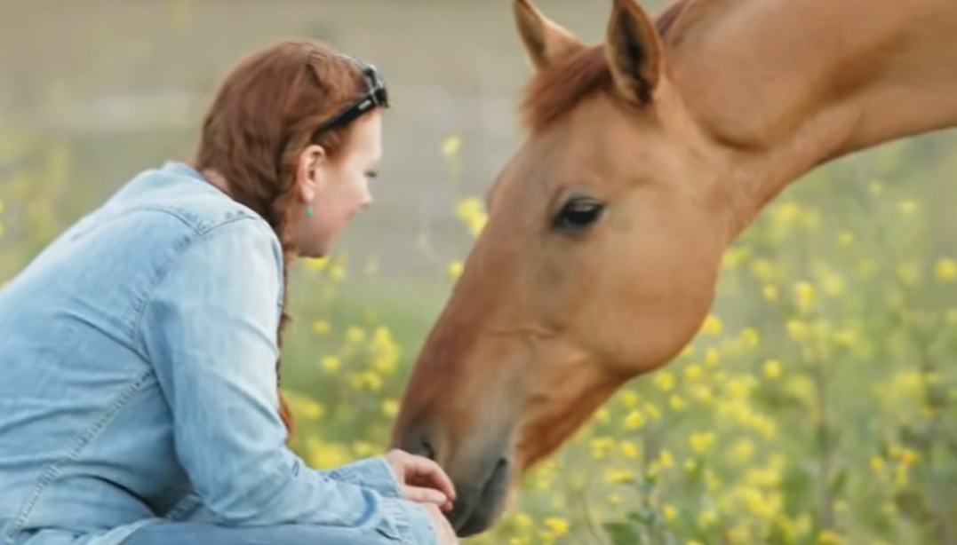 Wild horses, Women photographers, Horse photography, Connection between humans and animals, Conservation efforts, Natural habitat, Emotional connection, Ecosystem, Wildlife, Passion, Adventure, Majestic, Graceful, Transformative, Endurance, Preservation, Essence, Beauty, Power, Bond