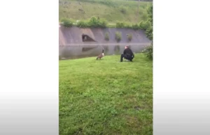 Cincinnati Police Goose Rescue, Wildlife Conservation Police Efforts, Urban Wildlife Protection Stories, Heartwarming Animal Rescue Tales, Police Role in Animal Welfare, Mother Goose Saved by Police, Community Police Wildlife Efforts, Inspiring Police Animal Rescues, Local Heroes Wildlife Protection, Gosling Rescue by Law Enforcement
