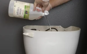 Natural Bathroom Cleaning Tips, DIY Toilet Cleaning Hacks, Eco-Friendly Cleaning Solutions, Vinegar Cleaning Tricks, Baking Soda Bathroom Uses, Lemon for Rust Removal, Homemade Shower Cleaners, Affordable Cleaning Hacks, Chemical-Free Cleaning Methods, Odor Eliminating Solutions Home